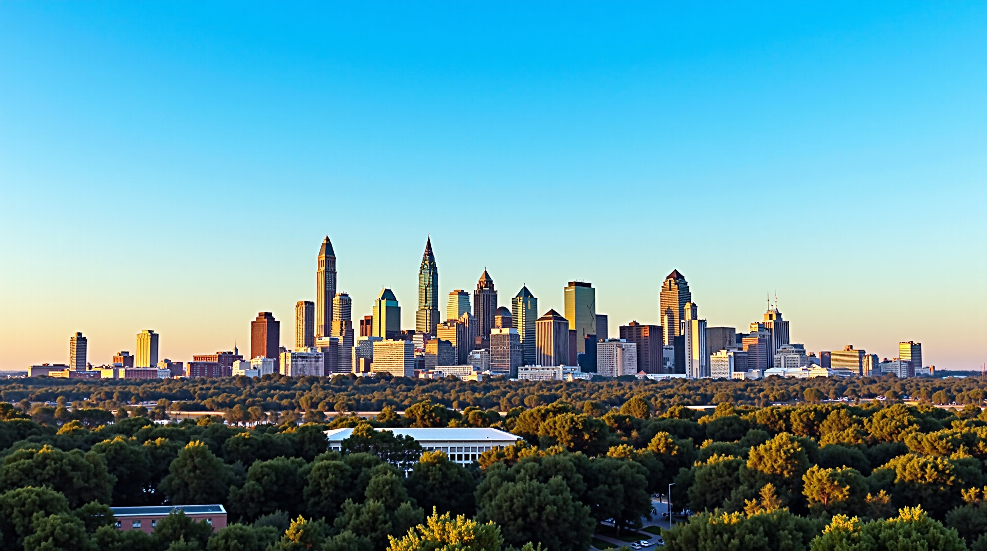 Professional Stump Grinding Services in Metro Atlanta