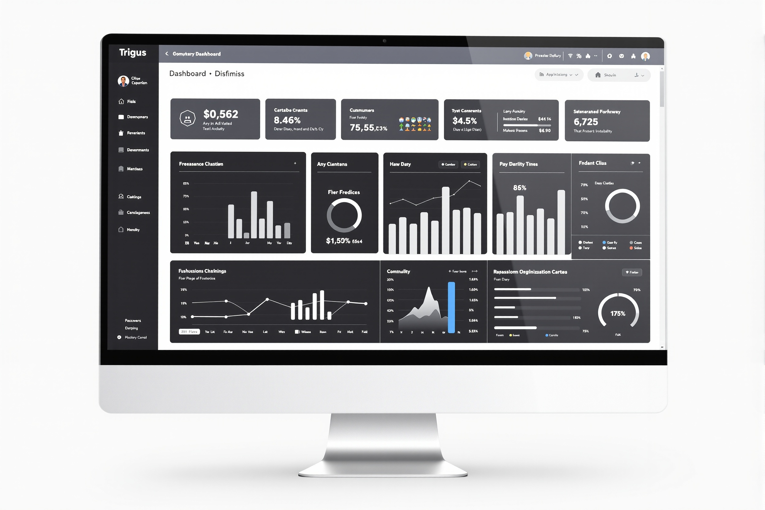 Web System Development