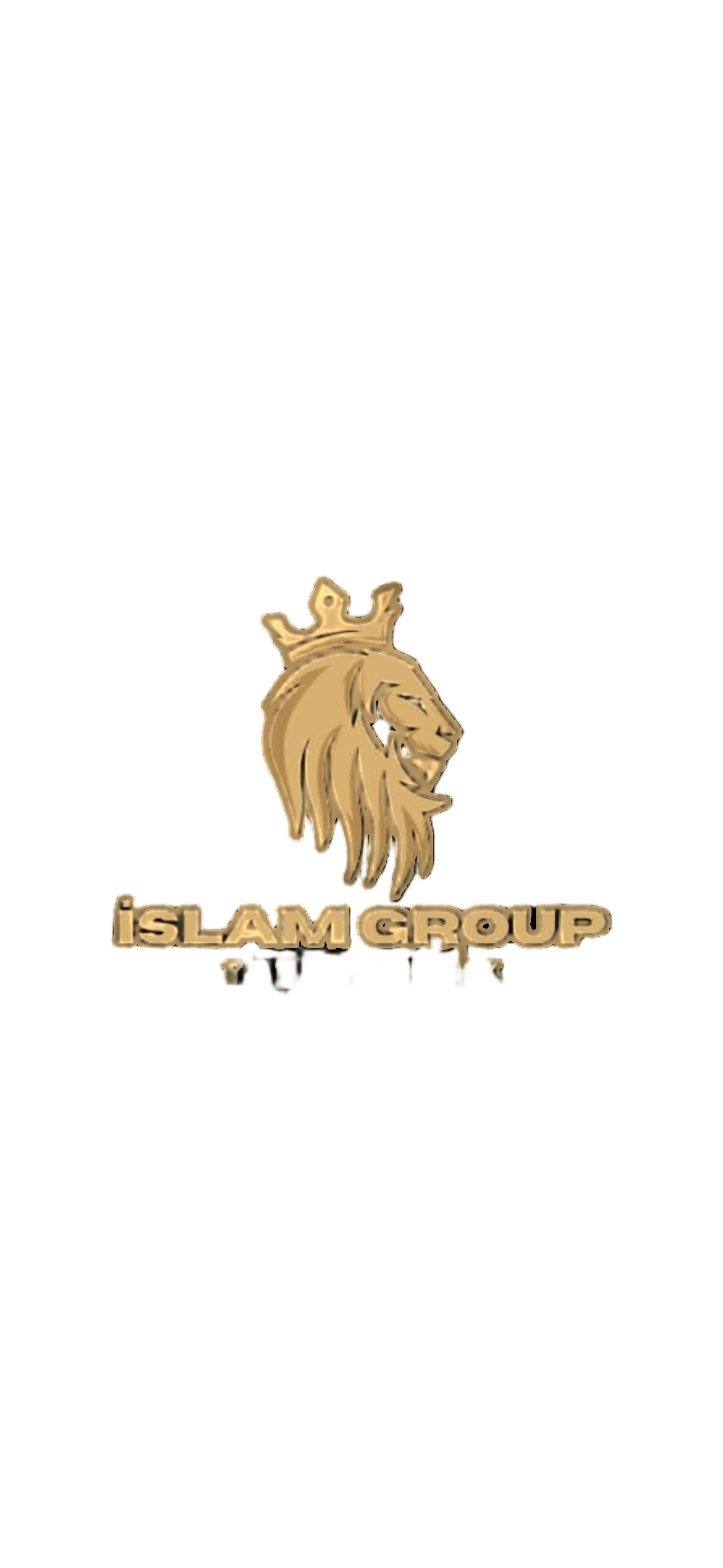 İslam Group Aslan