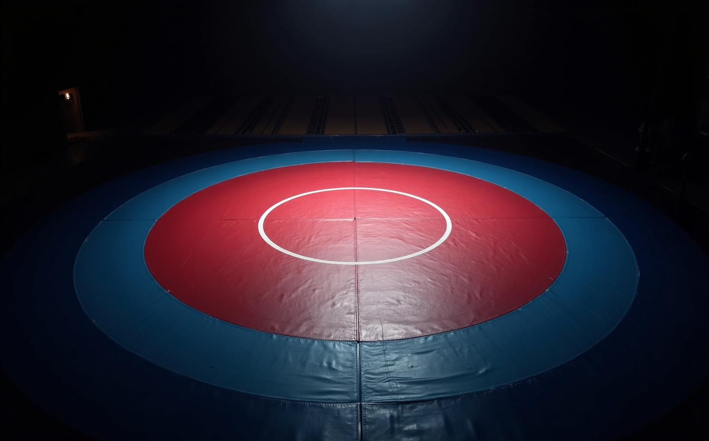 Wrestling arena