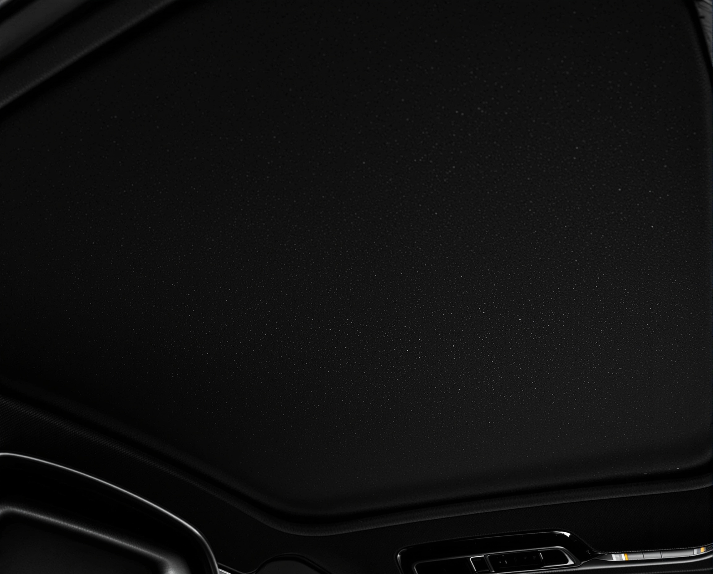 Alcantara Tavan — Mercedes AMG