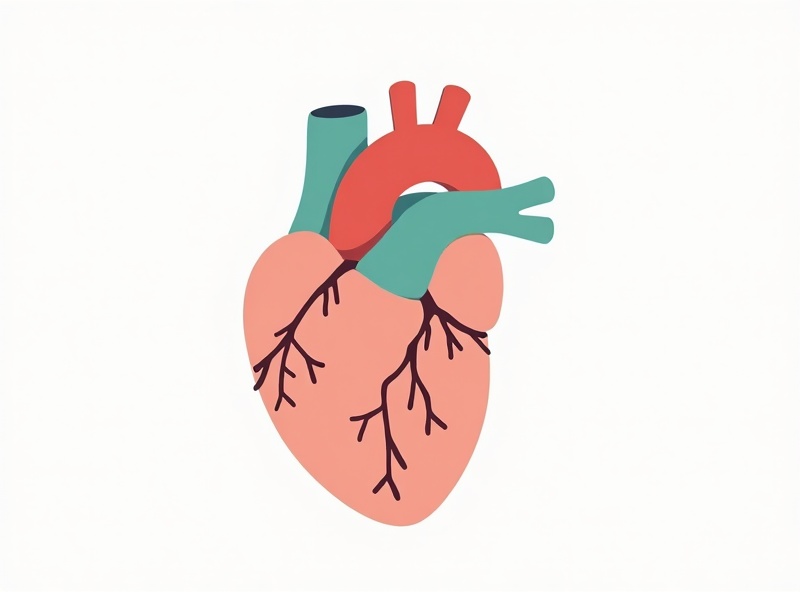 心不全の病態イメージ