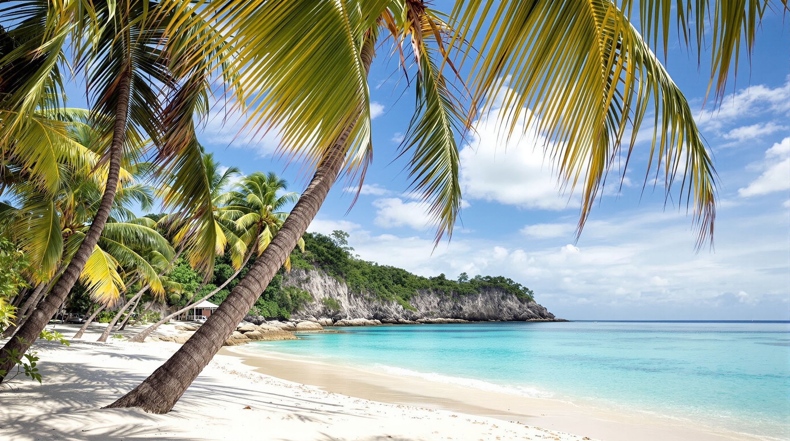 Dunk Island contact - beautiful tropical beach