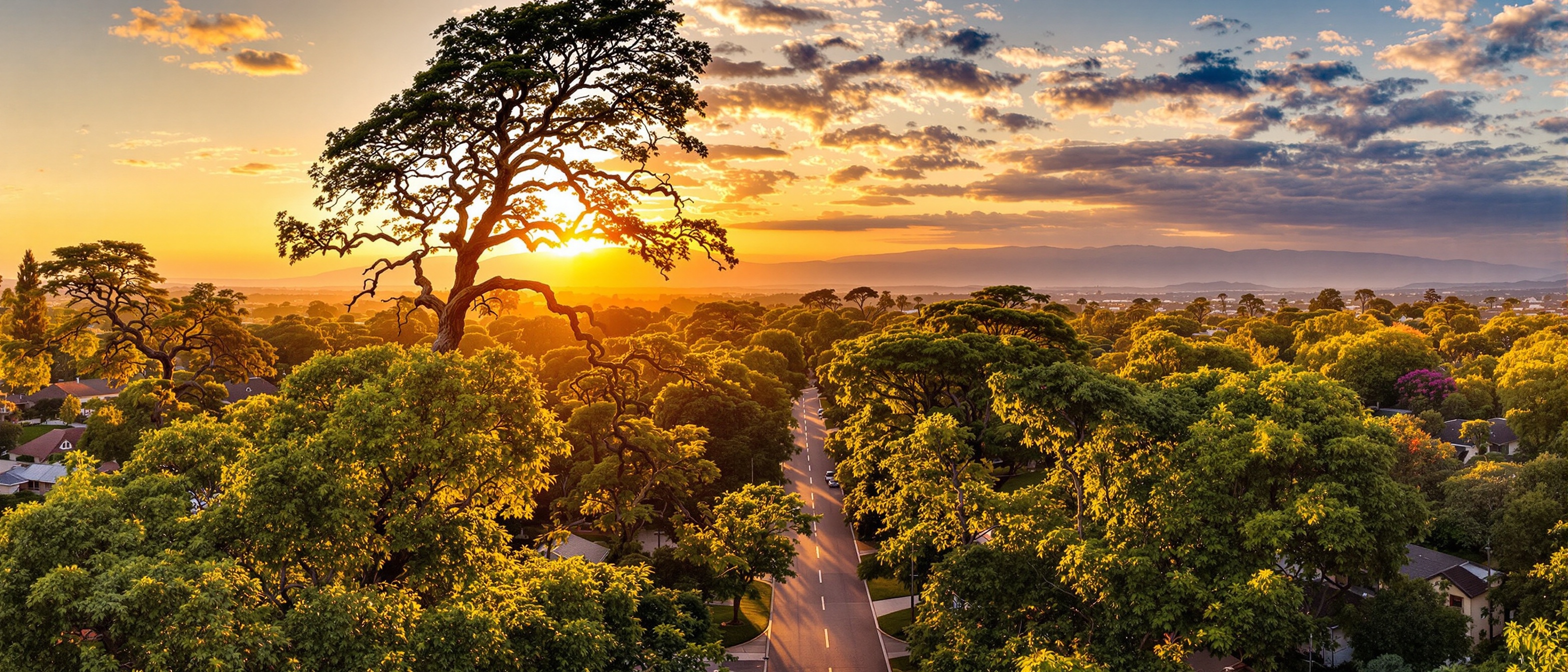 Best tree service in Woodland Hills CA