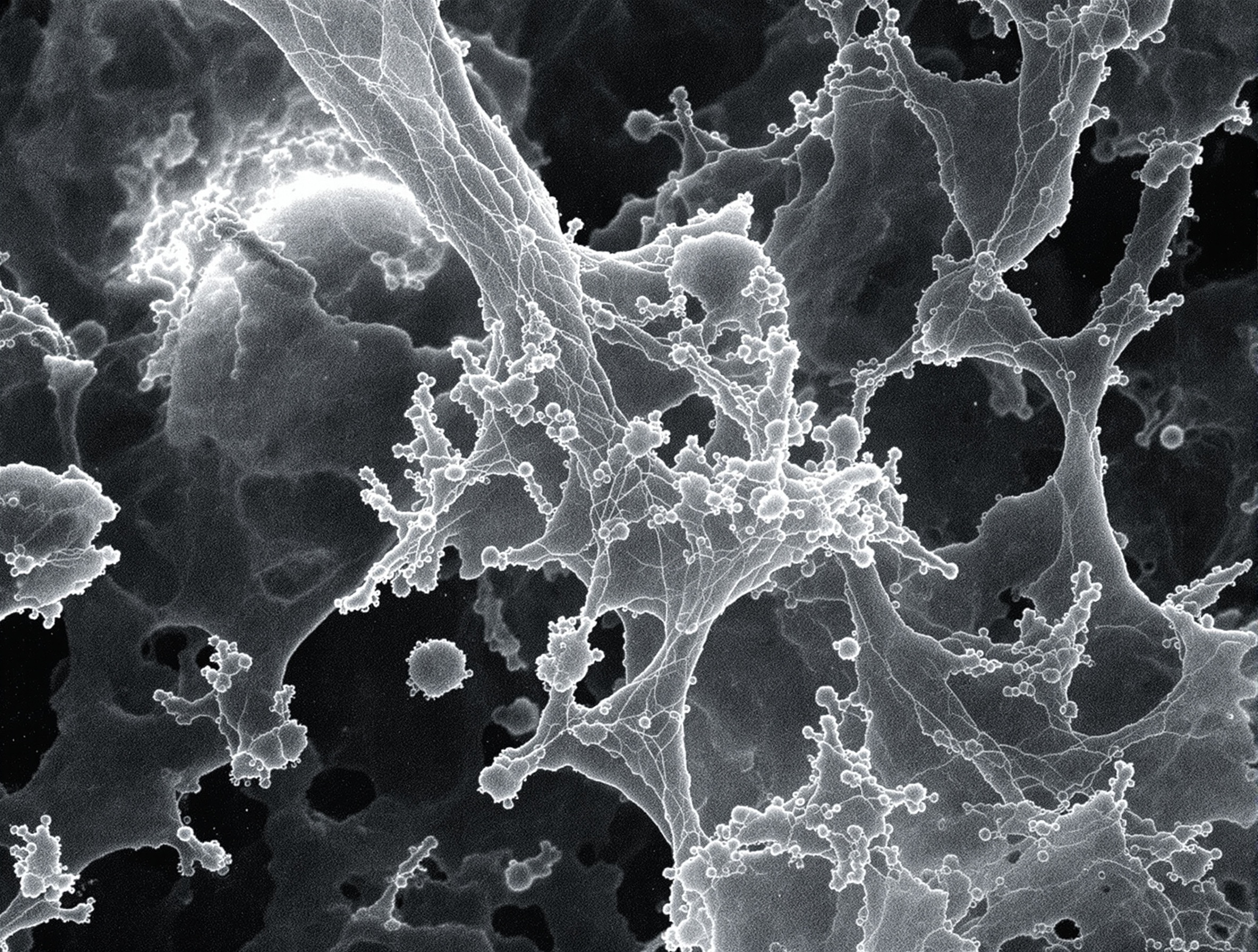 纳米材料微观结构