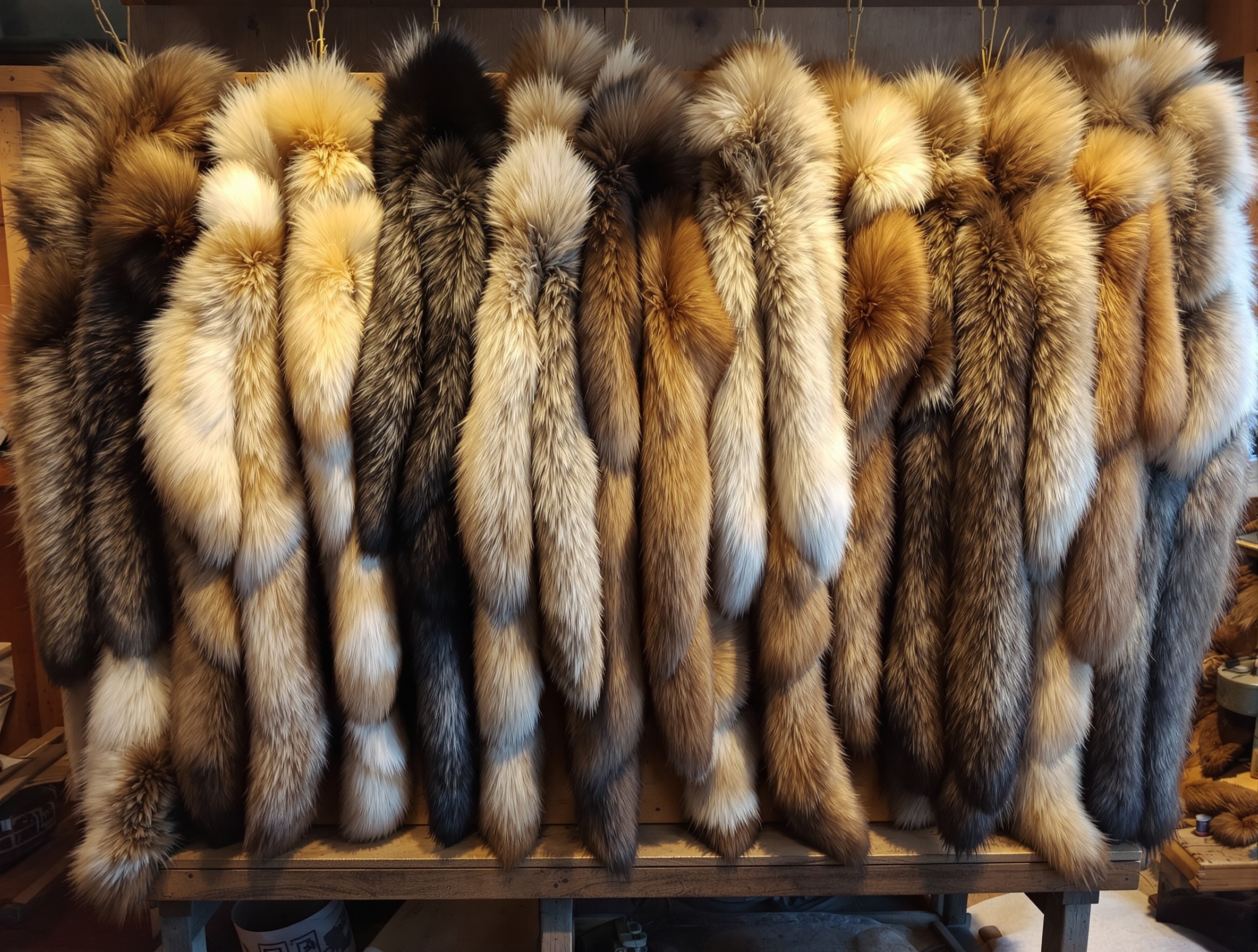 Fur Collection