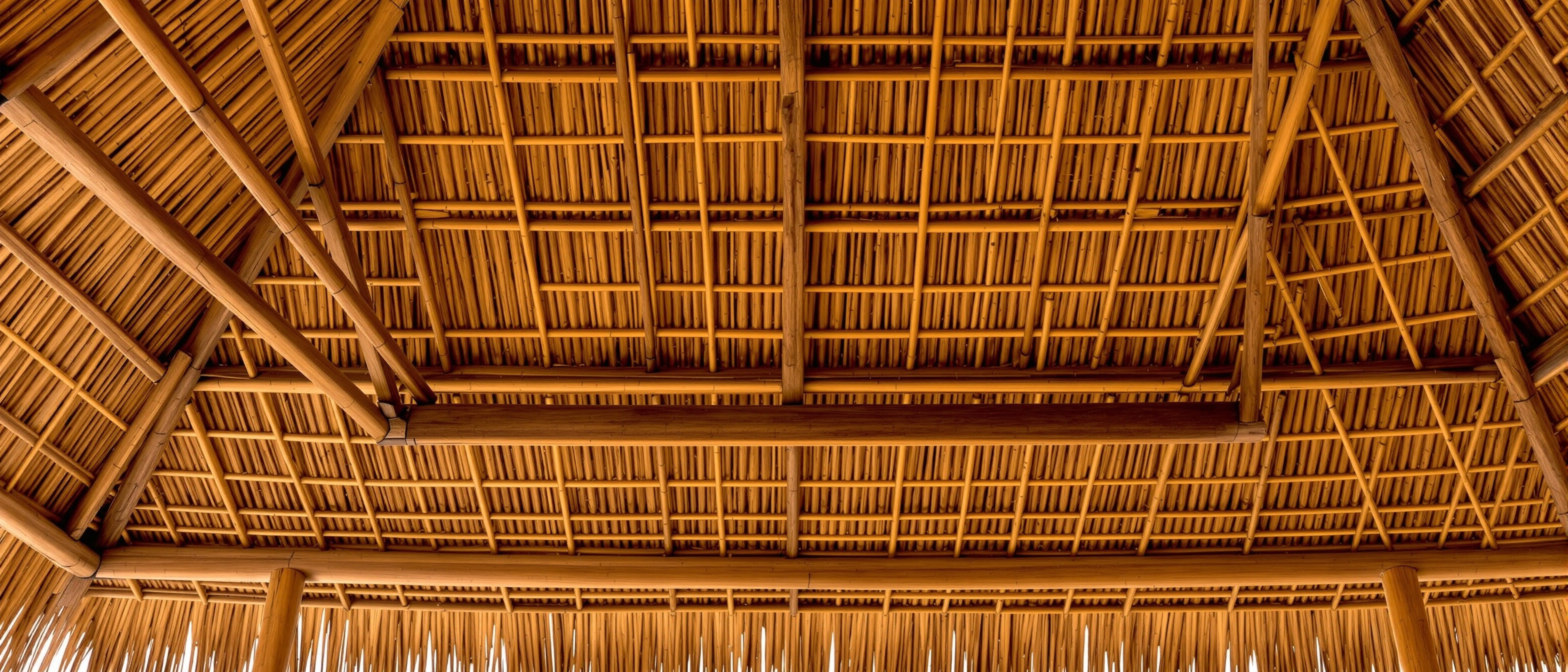 Bambu Çatı