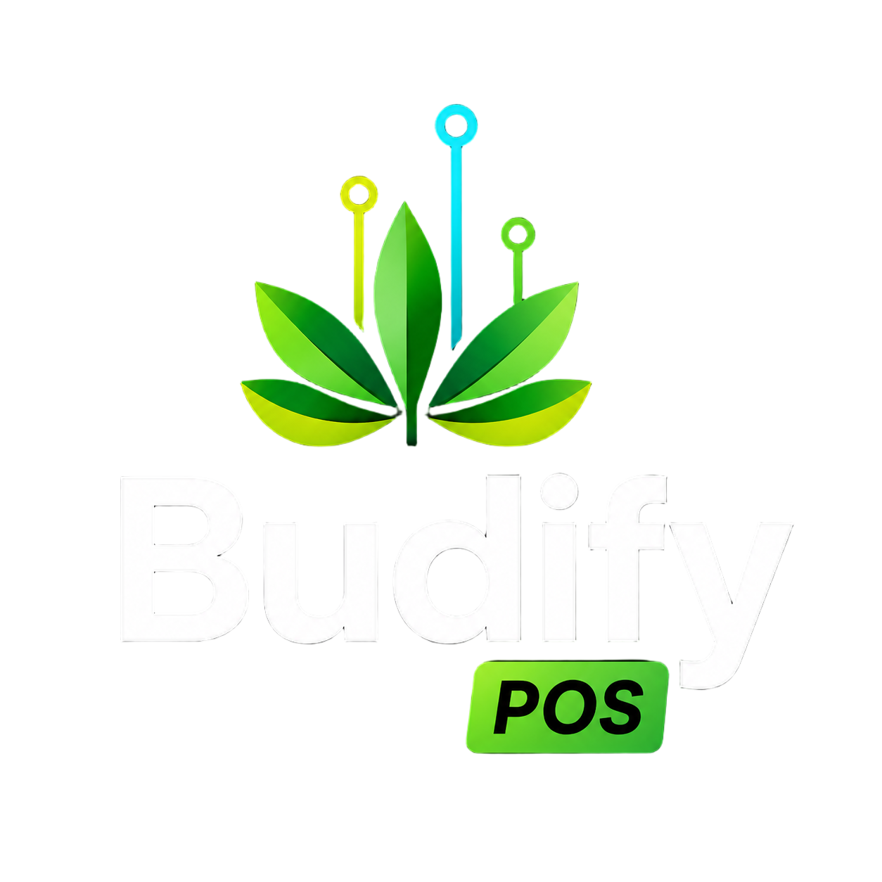 Budify