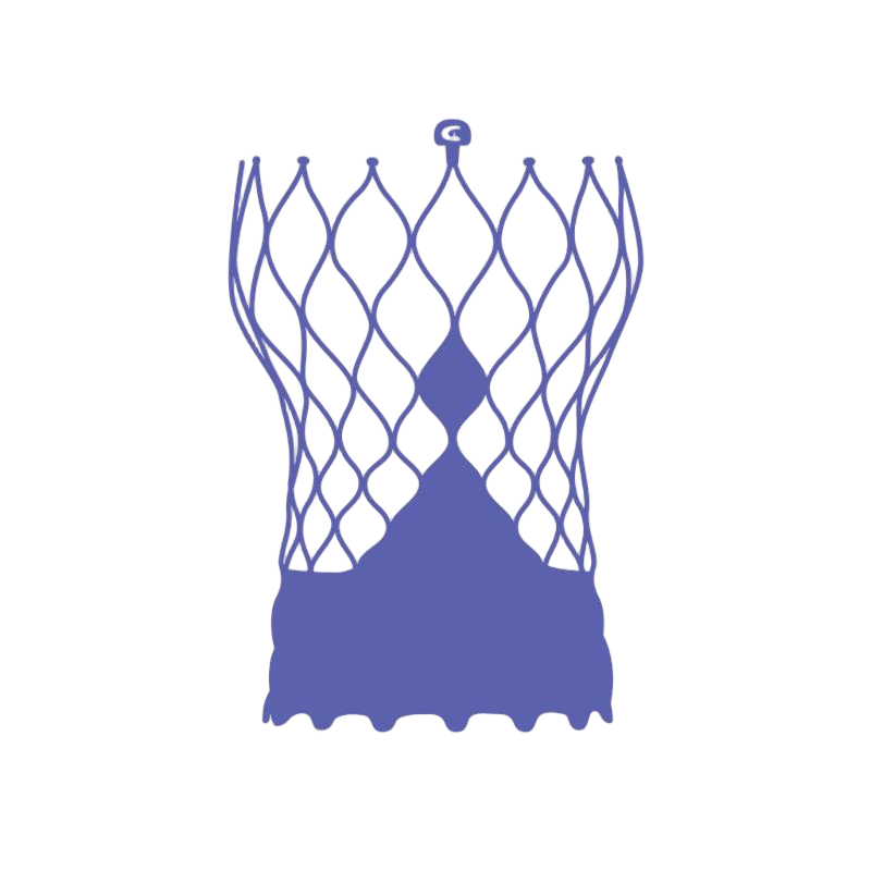 Evolut TAVR valve