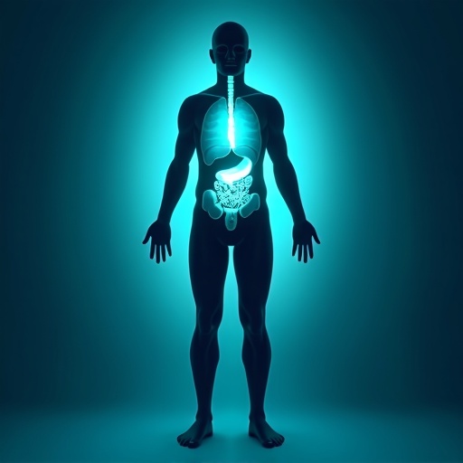 Zone 1 – Glandular