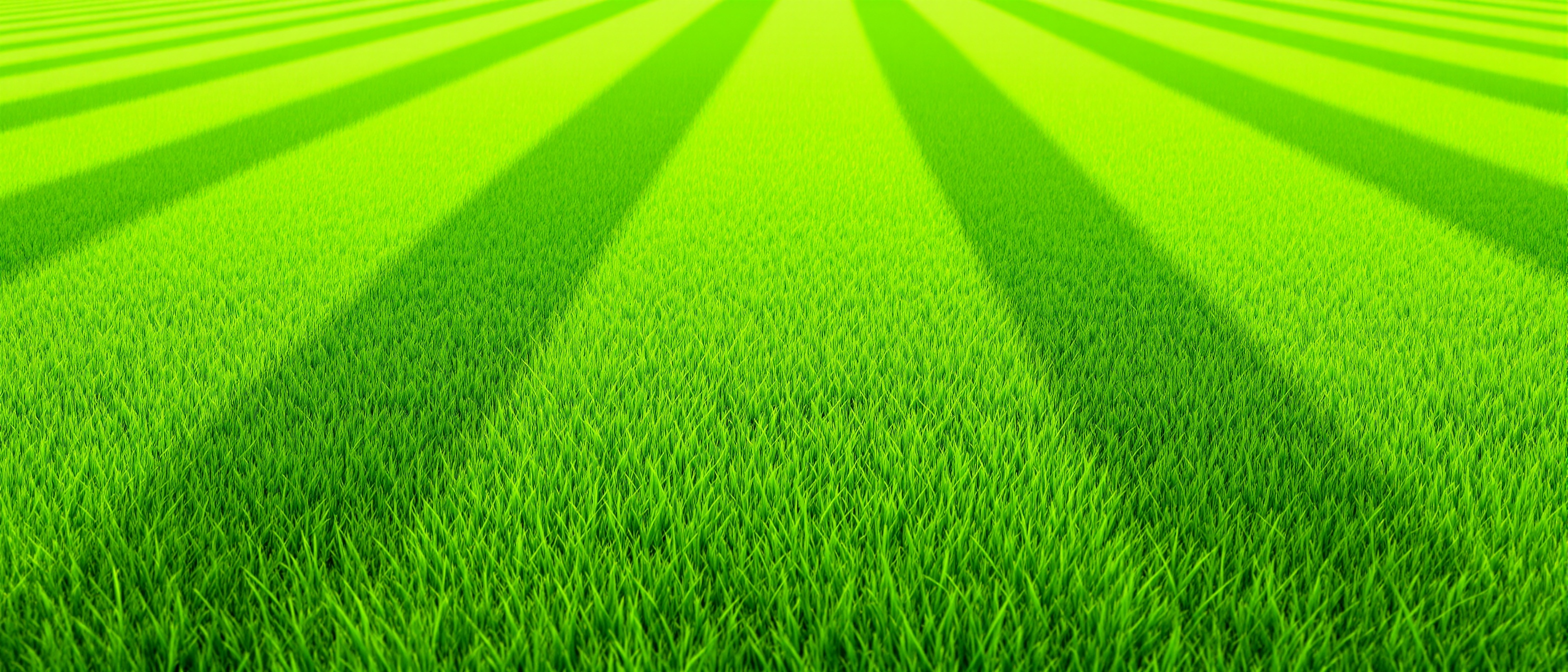 Freshly cut lawn with neat mowing stripes in Clydebank