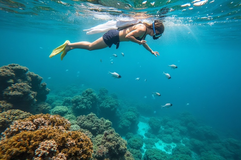 Snorkel