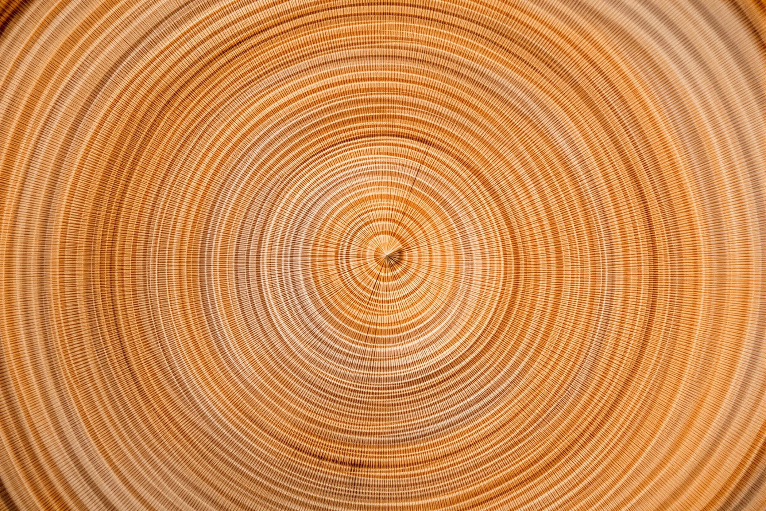 Australian hardwood timber grain