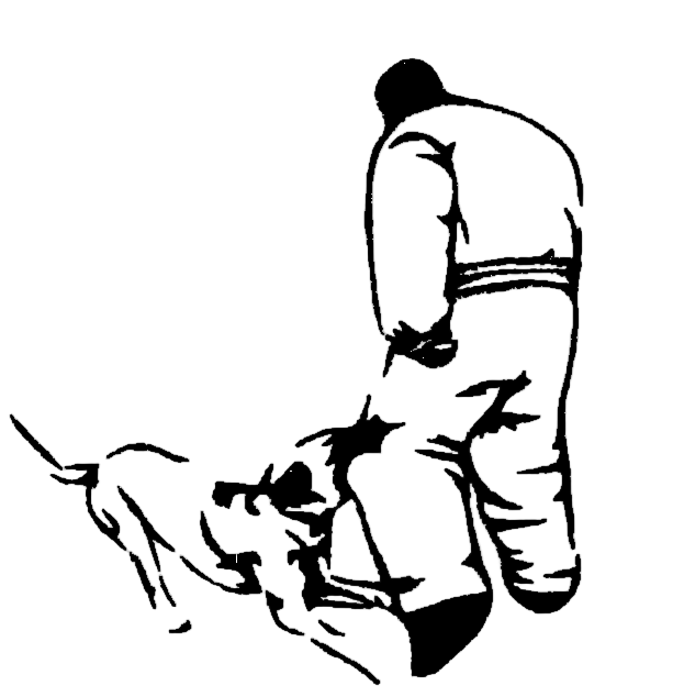 Ari Ravel Dog Training Logo