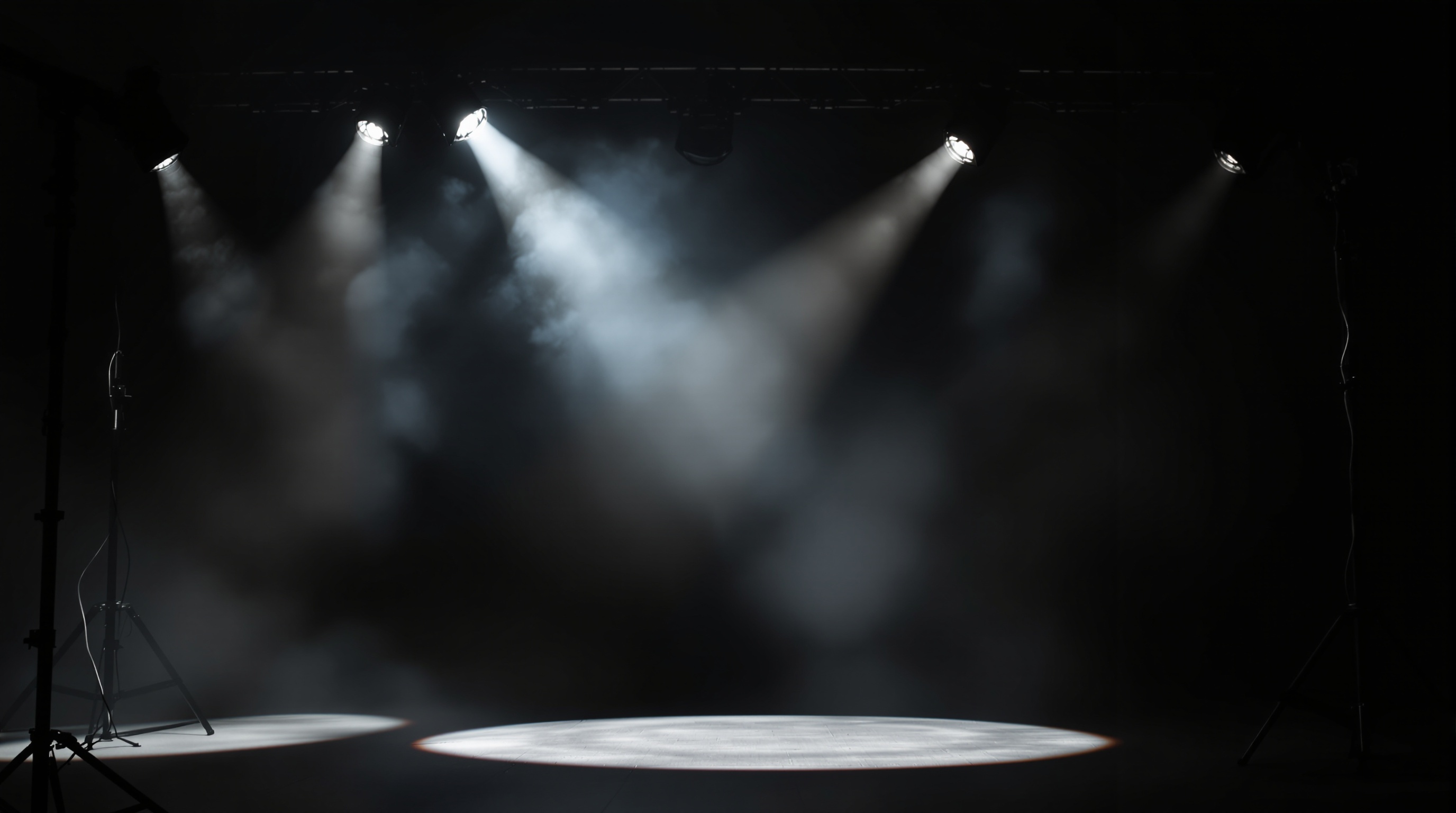 Professional film studio