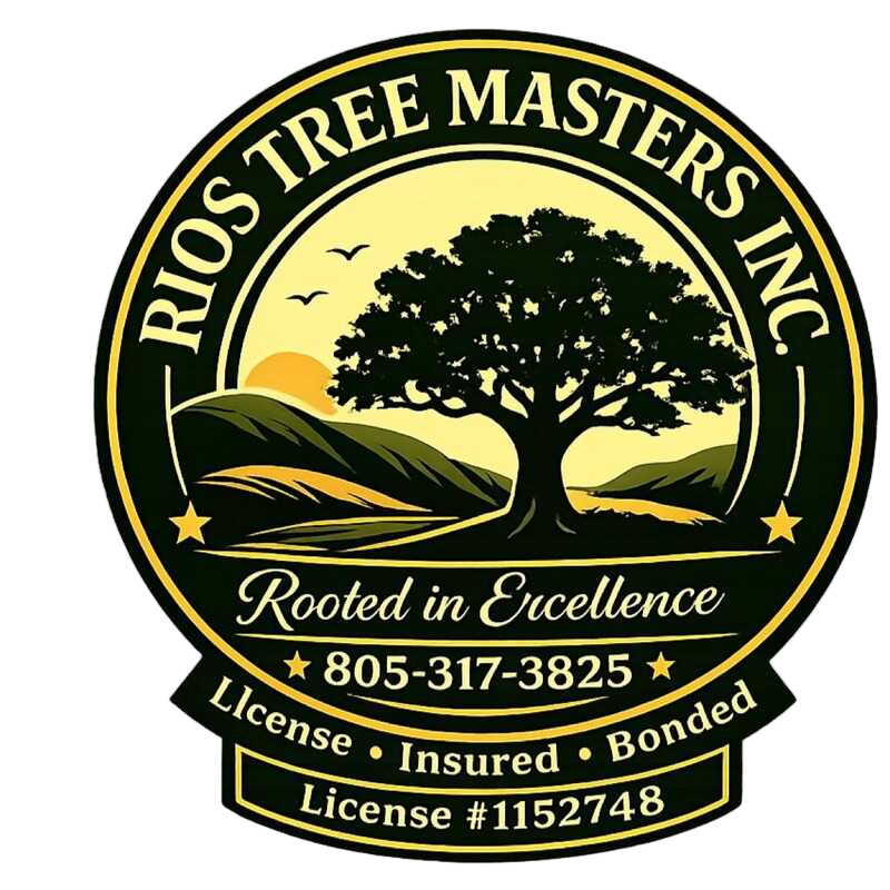 Rios Tree Masters Logo