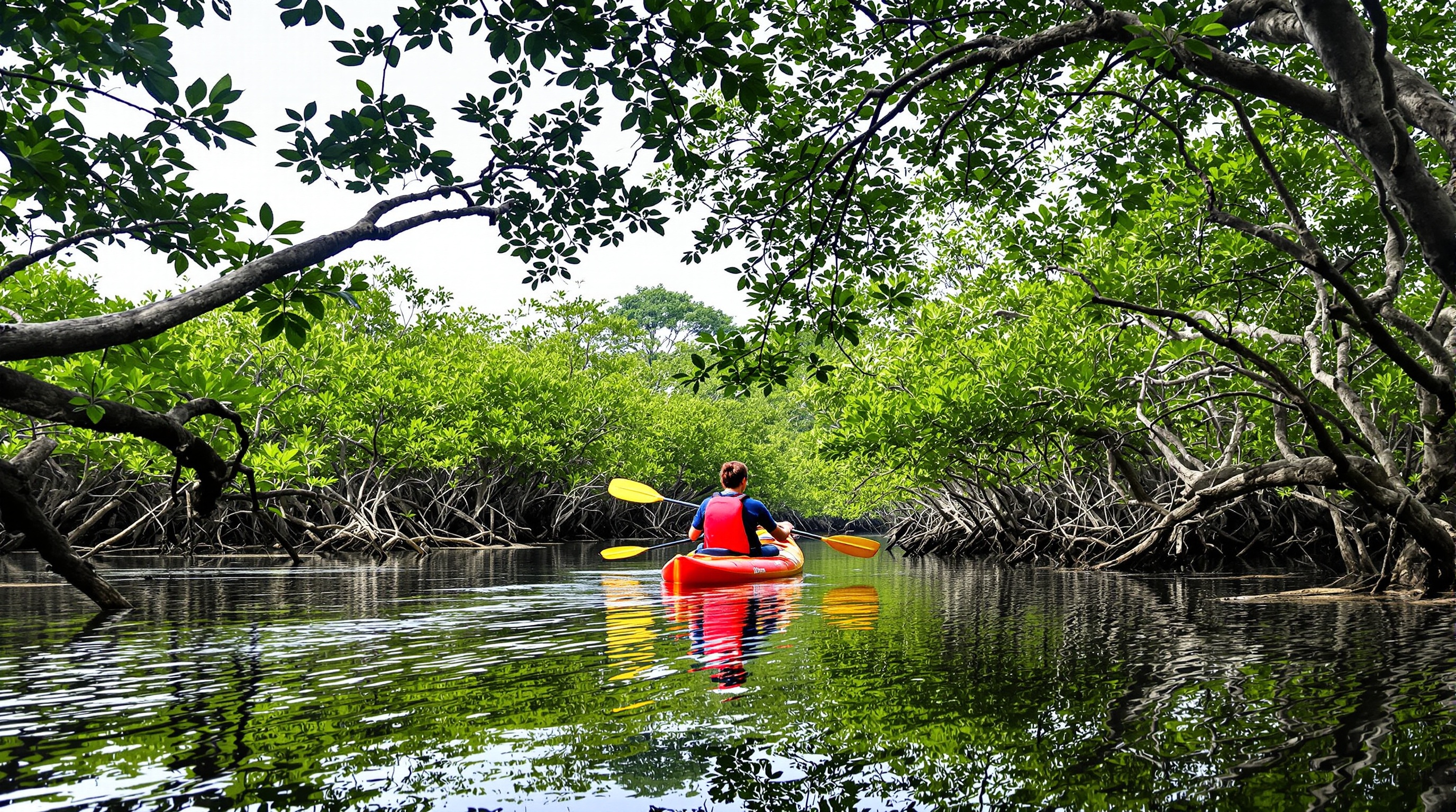 奄美大島のアクティビティ