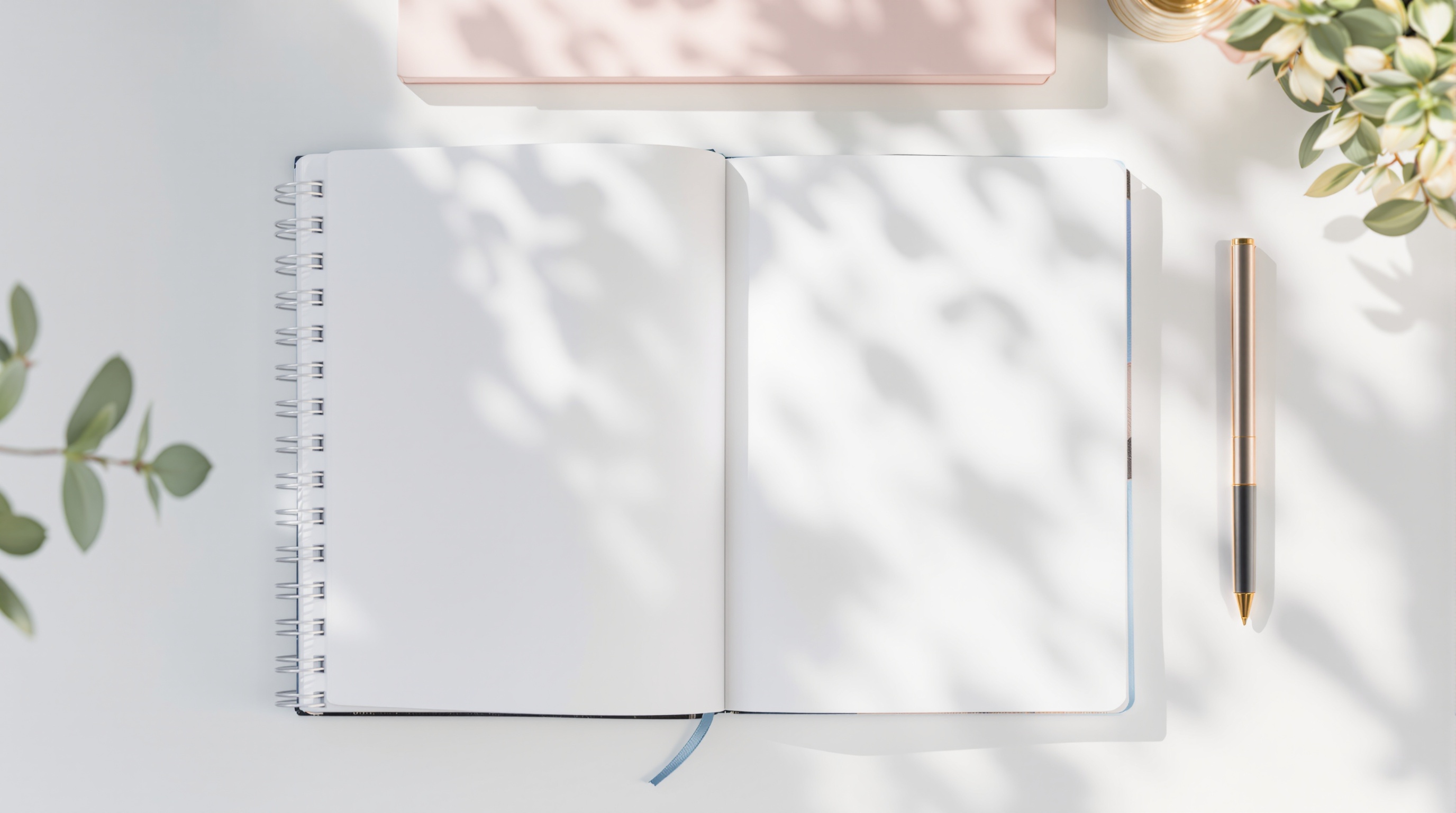 AllCNFans new user guide - how to use spreadsheets and sheets for beginners