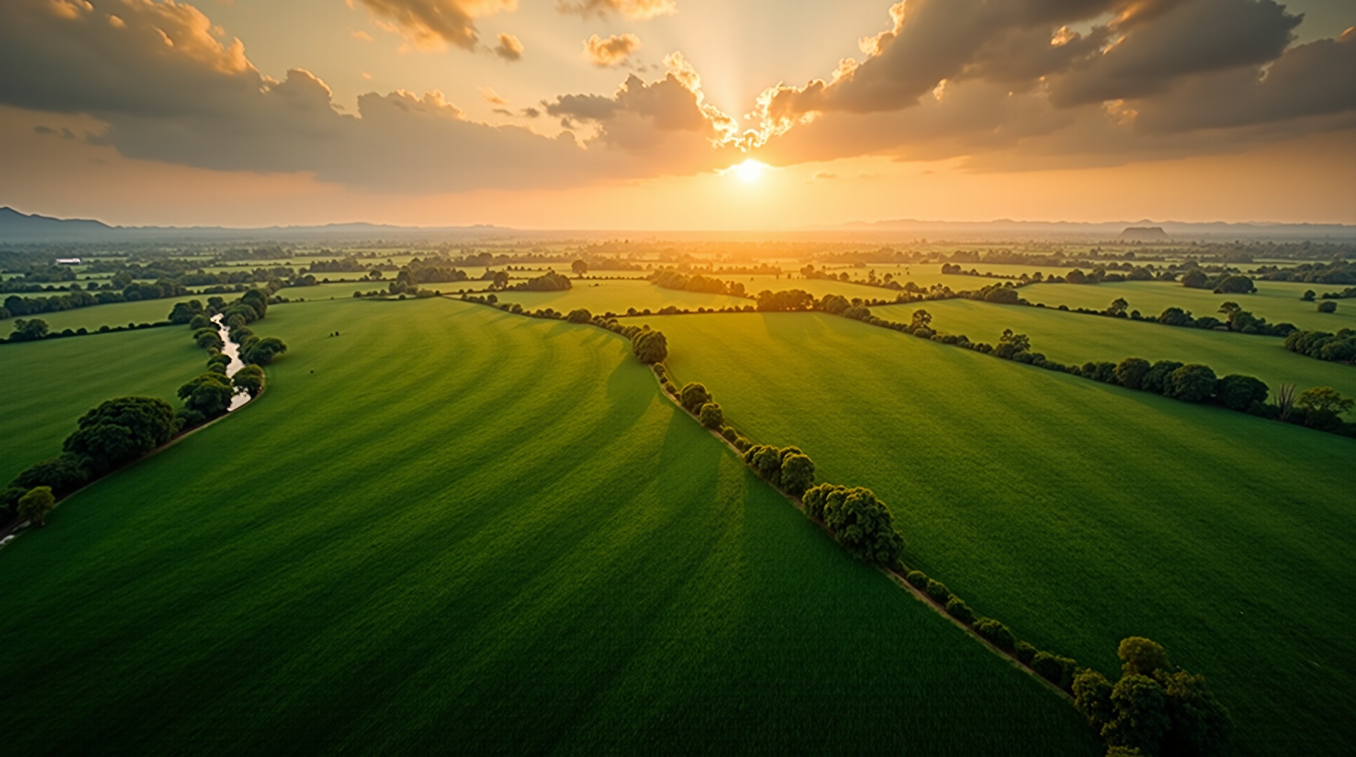 Agronegócio brasileiro