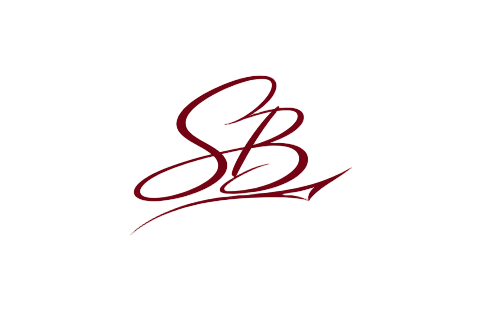 Fashion Stylist Logo