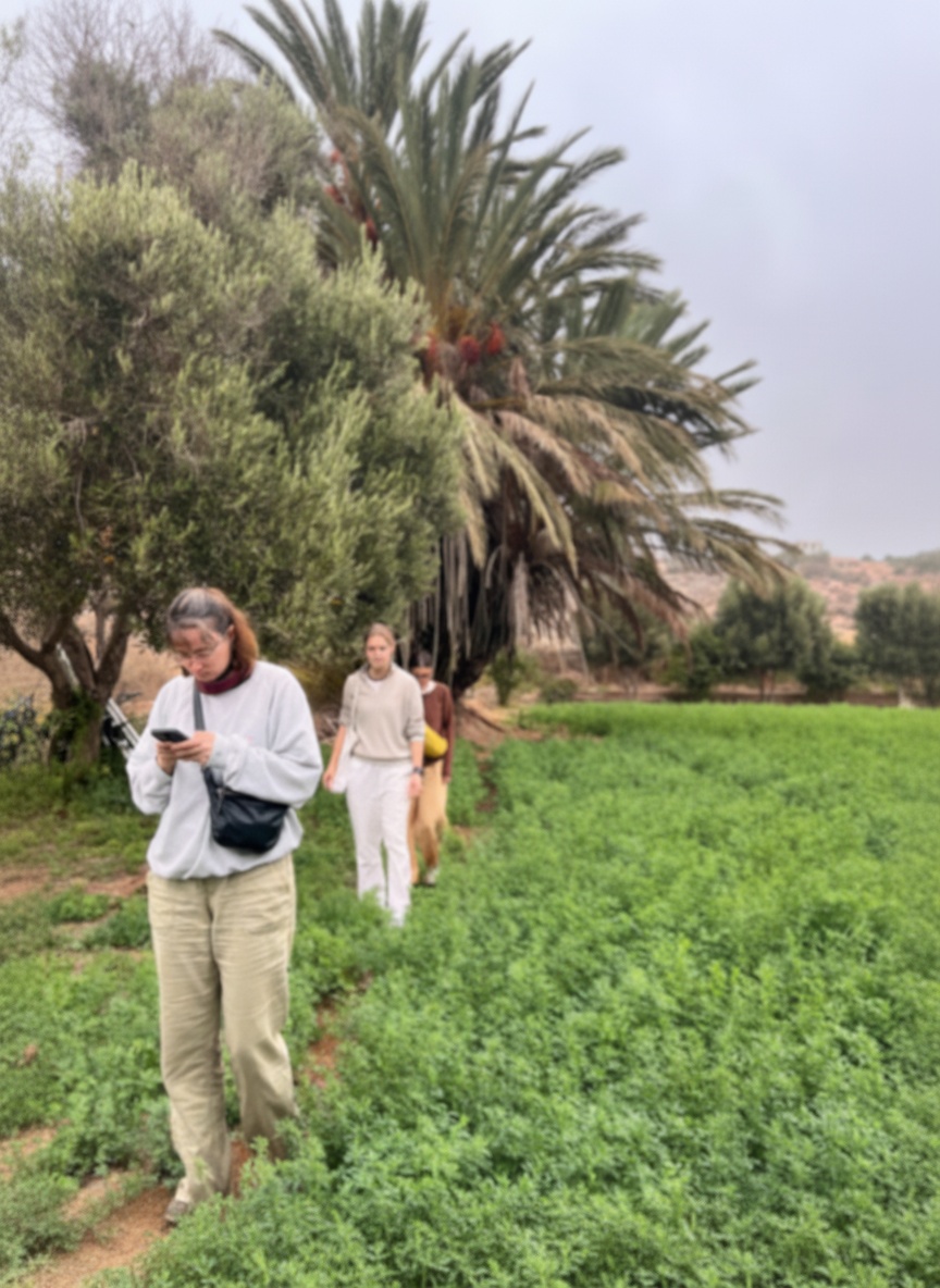 Vallées & Oasis de Sidi M'Barek - Enjoy Essaouira Vallées & Oasis de Sidi M'Barek