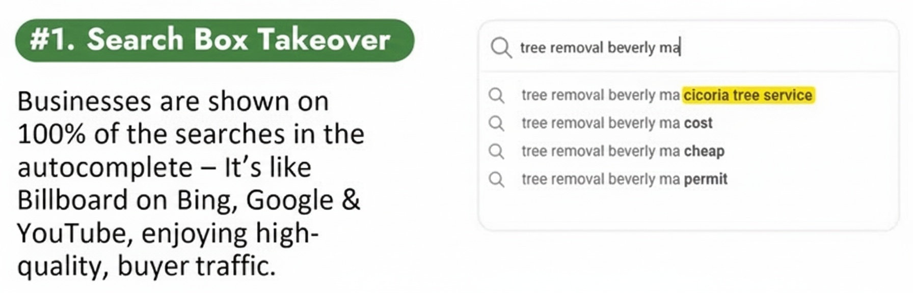 Search Box Takeover example showing autocomplete suggestions