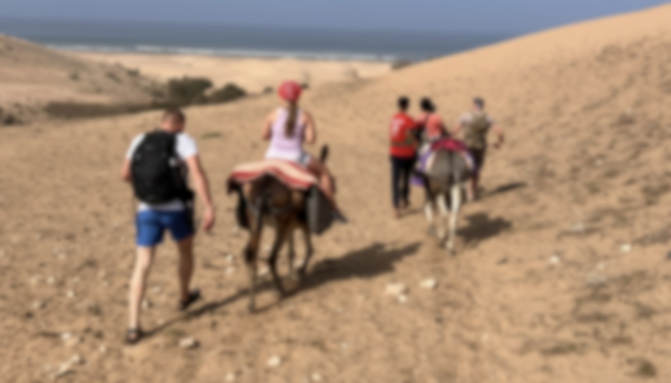 Donkey Ride – Sidi M'Barek Beach - Enjoy Essaouira Donkey Ride – Sidi M'Barek Beach