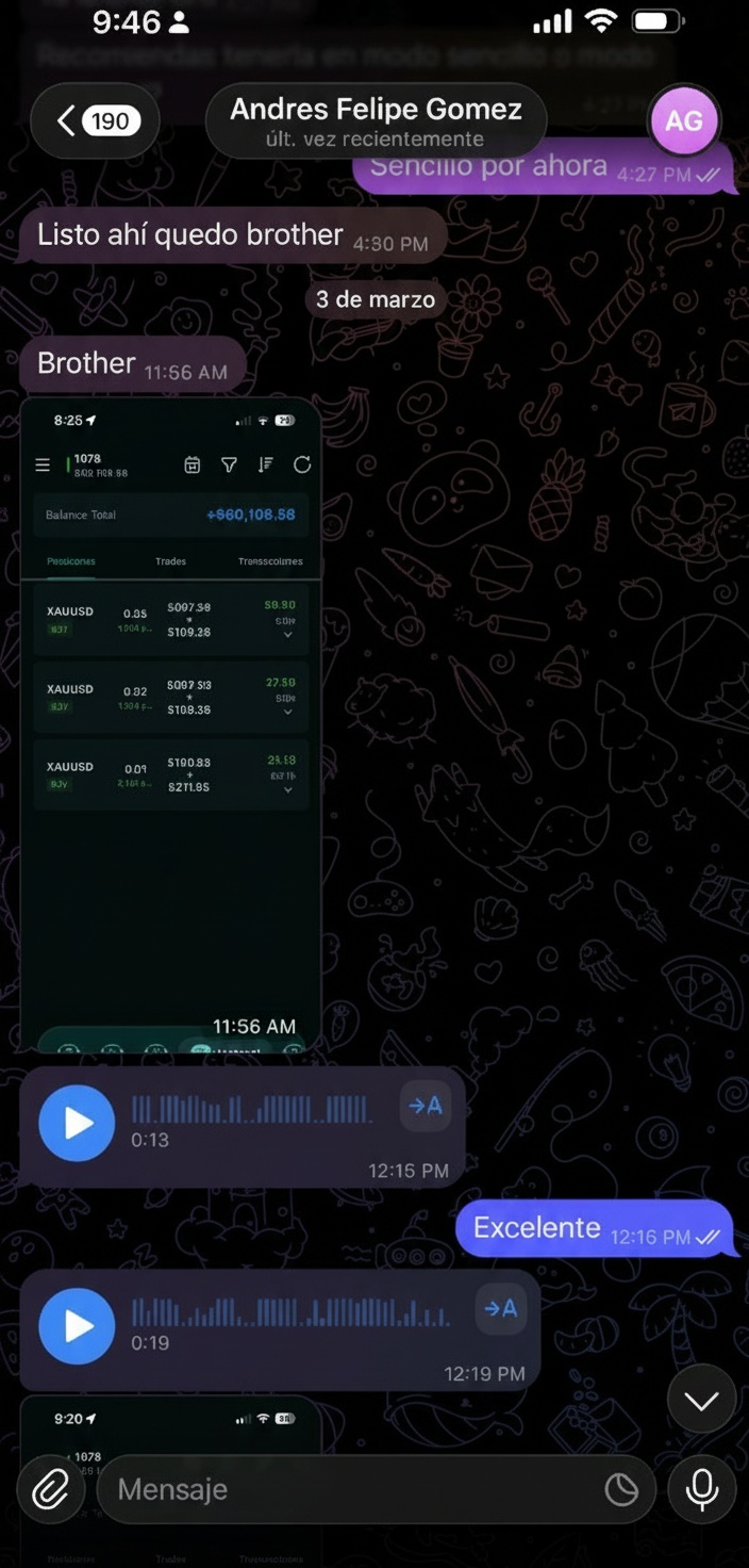 Testimonio de miembro 4