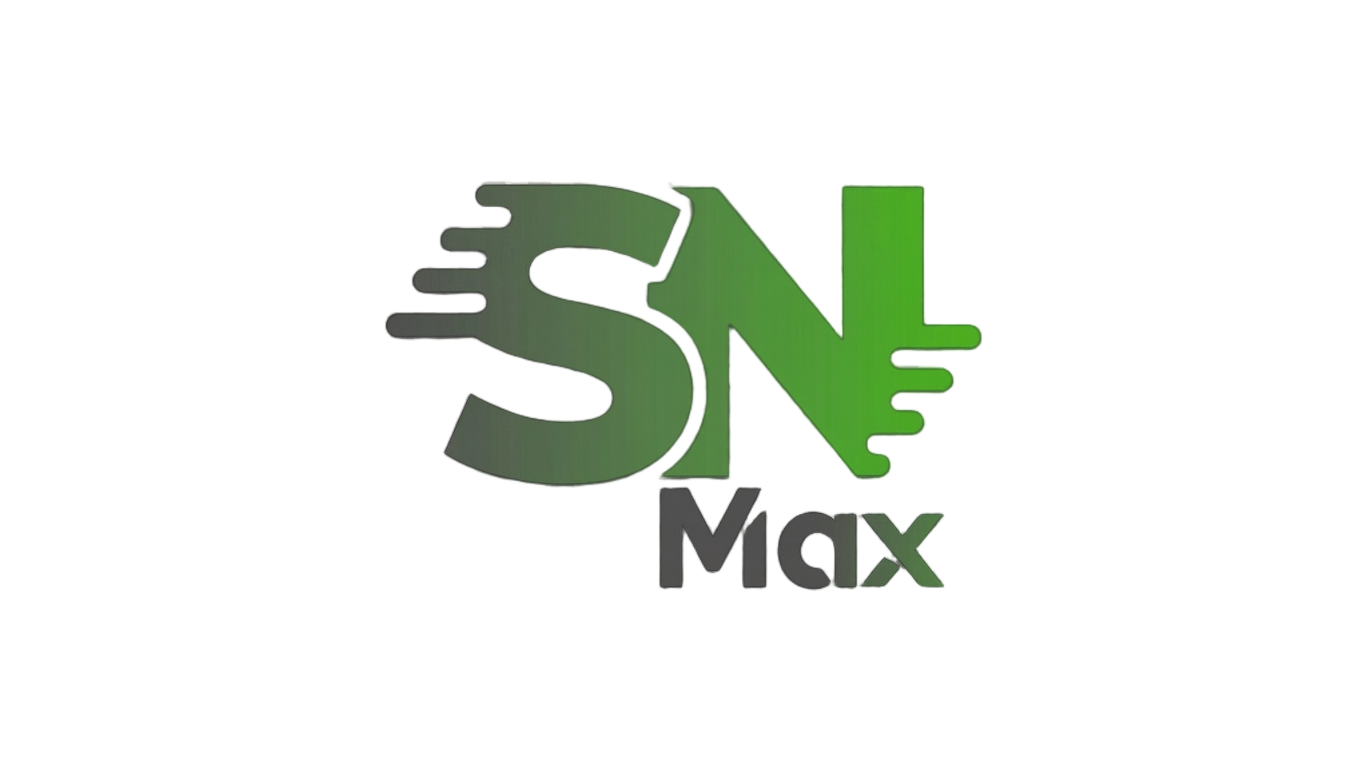STARNET MAX Logo