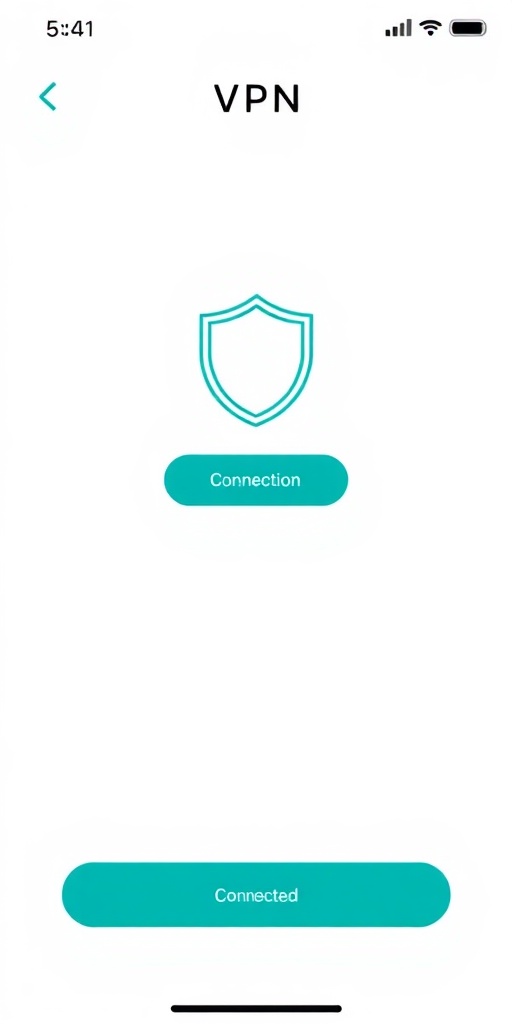 VPN Application Interface