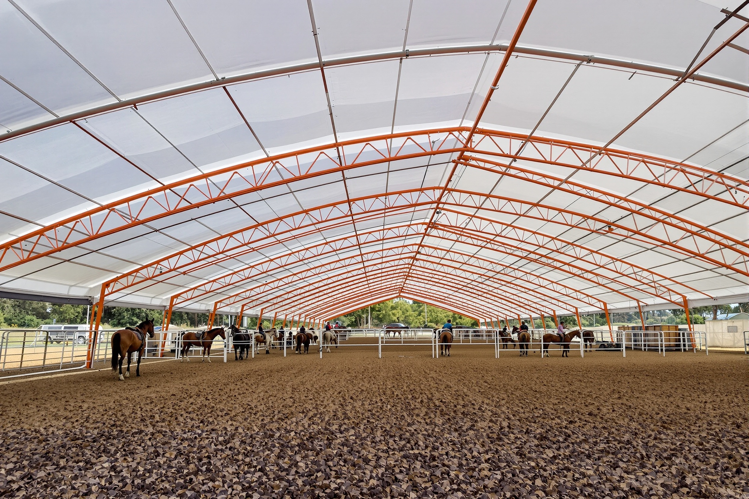 Cubierta hípica para centro ecuestre en Alicante