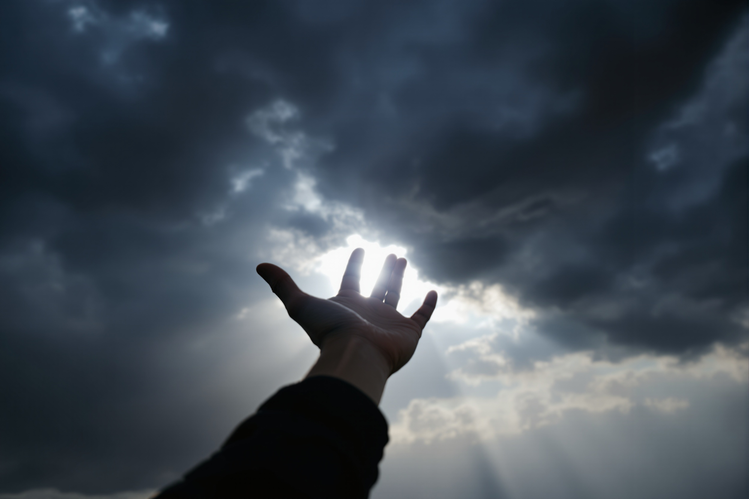 Cristo Salva: El Único Camino