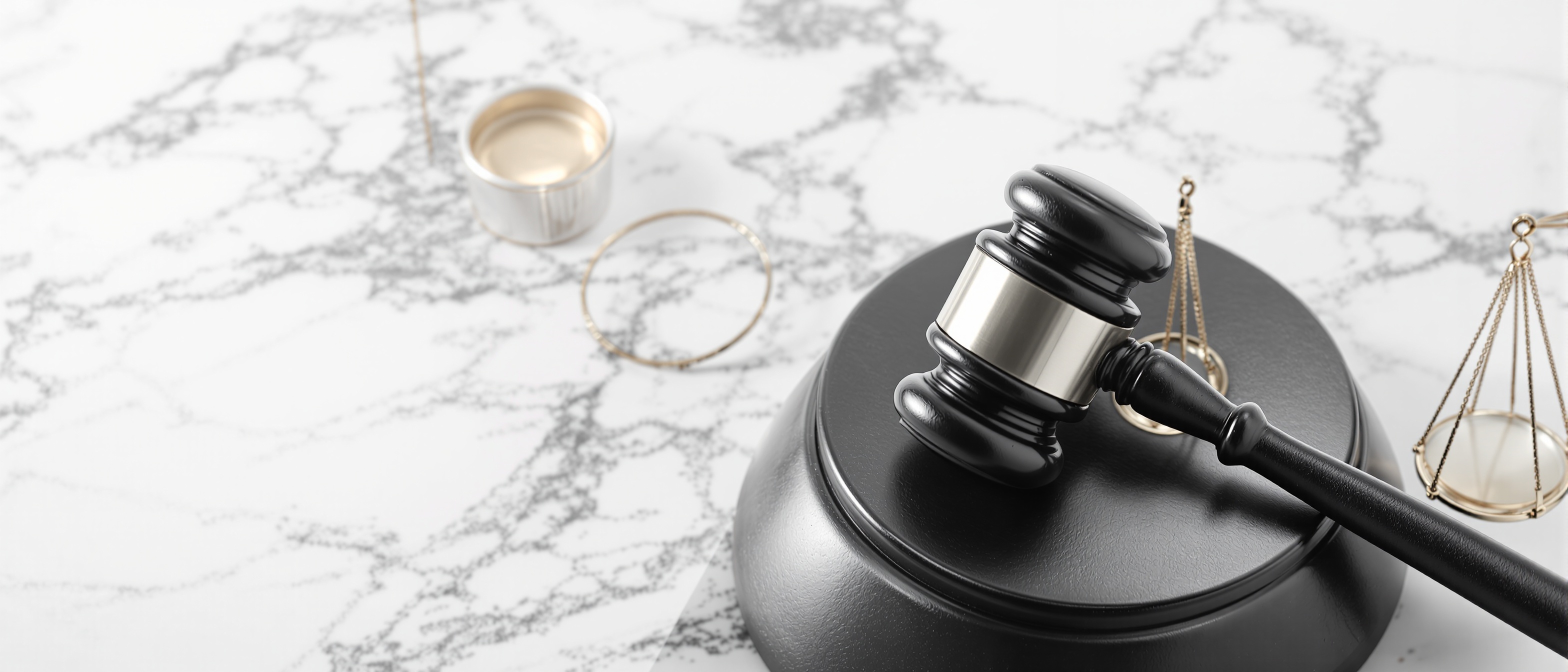 Terms and Conditions